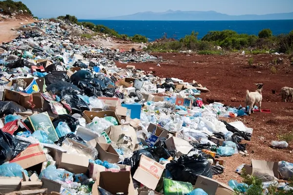 End the Waste: A Call for the Right to Update Abandoned Devices