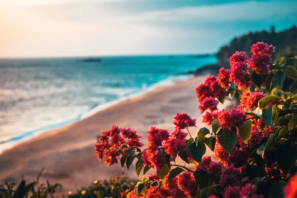 I will be flowers